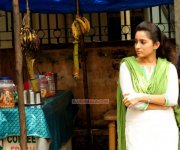 New Still Film Actress Bhama 3444