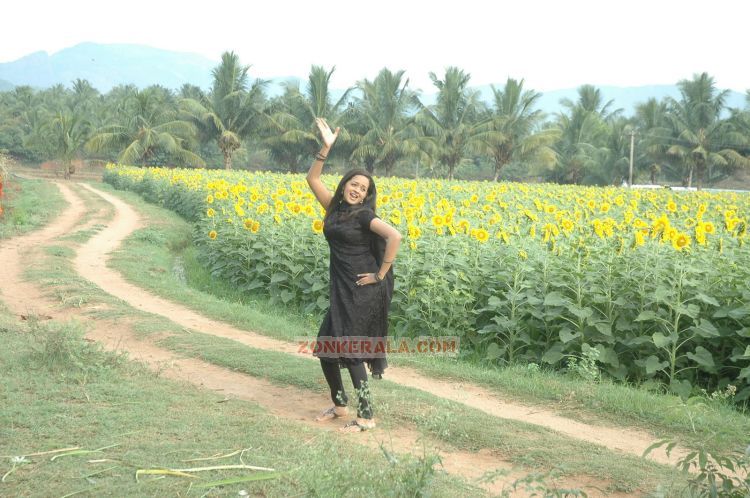 Actress Bhavana Photos 1091