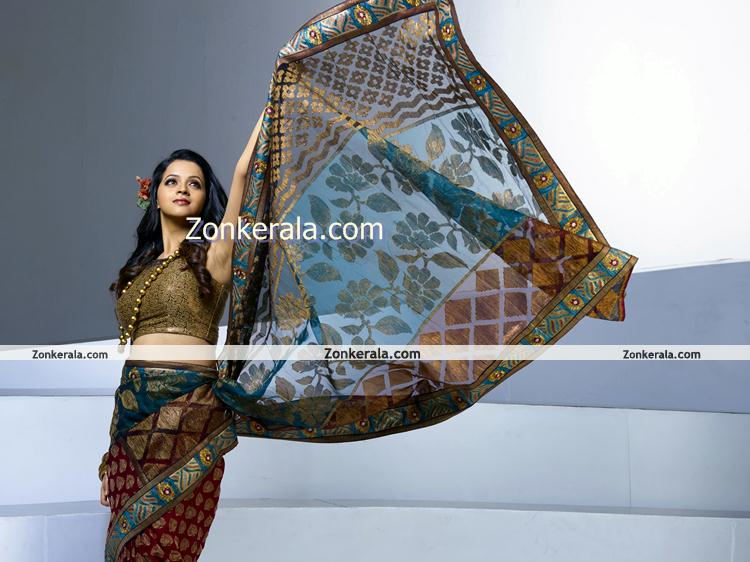 Actress Bhavana Photos In Saree 4