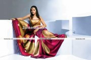 Actress Bhavana Photos In Saree 7