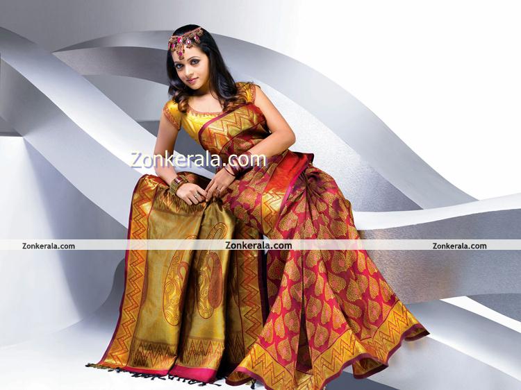 Actress Bhavana Photos In Saree 8