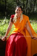 Actress Bhavana Picture 15