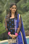 Latest Photo Bhavana Movie Actress 937