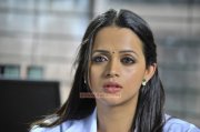 Still Bhavana Indian Actress 1463