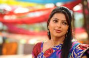 Malayalam Actress Bhumika Chawla 4737