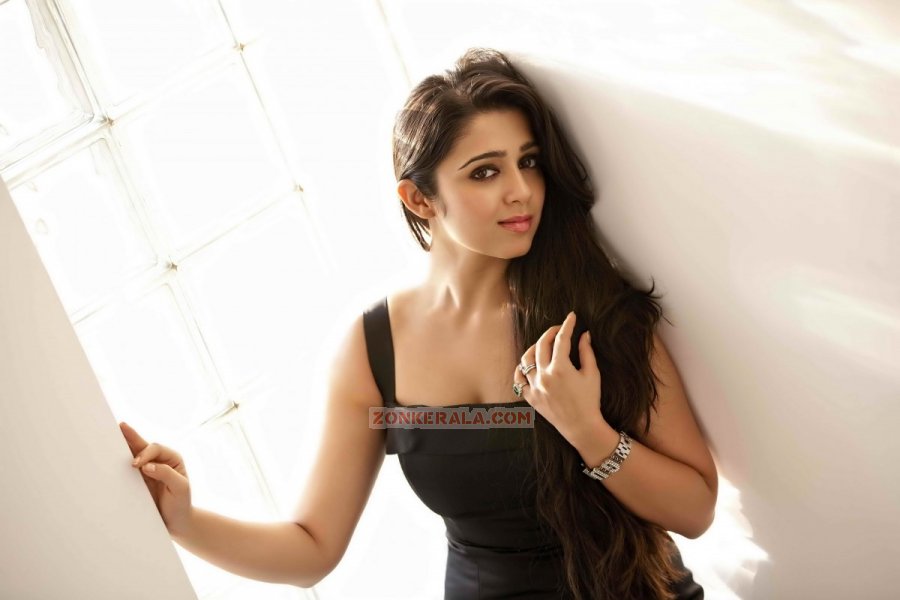 Charmi 4954