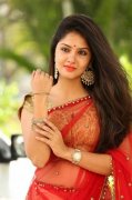 Gayathri Suresh Malayalam Actress 2020 Photo 5982