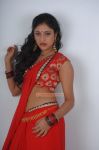 Actress Haripriya 3795