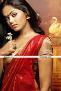 Karthika Nair Photos 1