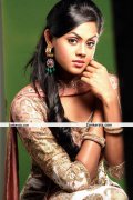 Karthika Nair Photos 13