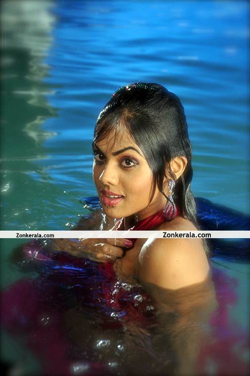 Karthika Nair Photos 15