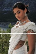 Karthika Nair Pics 3