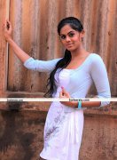 Karthika Nair Pictures 12