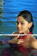 Karthika Nair Pictures 13