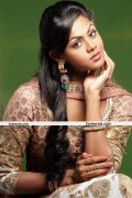 Karthika Nair Pictures 23