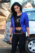 Karthika Nair Stills 4698