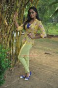 Karthika Nair Stills 4889