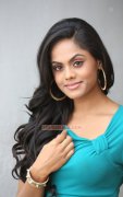 Nov 2014 Still Cinema Actress Karthika Nair 7299