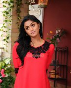 Recent Picture Actress Karthika Nair 6367