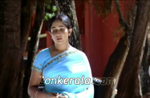 Kavya Madhavan 29