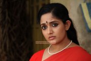 Kavya Madhavan Still 289