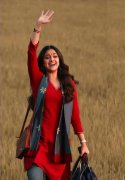 South Actress Keerthi Suresh Oct 2020 Photos 6181