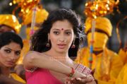 Actress Lakshmi Rai 3096