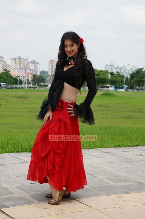 Actress Lakshmi Rai 6485