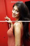 Actress Lakshmi Rai New Pics 018
