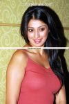 Actress Lakshmi Rai New Pics 07
