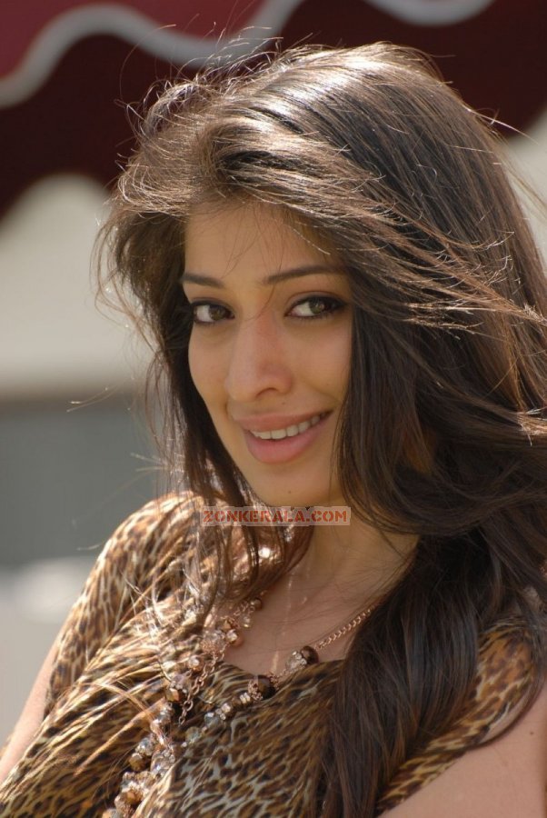 Lakshmi Rai 5365