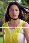 Lakshmi Rai New Picture12