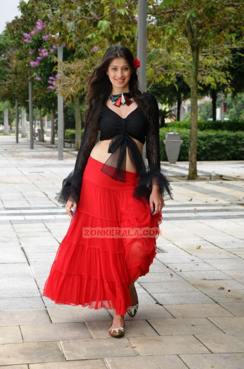 Lakshmi Rai Stills 7395