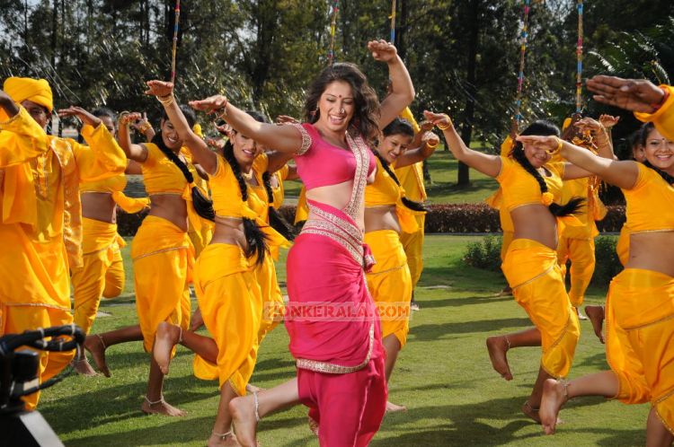 Malayalam Actress Lakshmi Rai Photos 5975