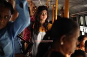 South Actress Madonna Sebastian Wallpaper 3791