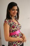 Malayalam Actress Mamta Mohandas Photos 5816