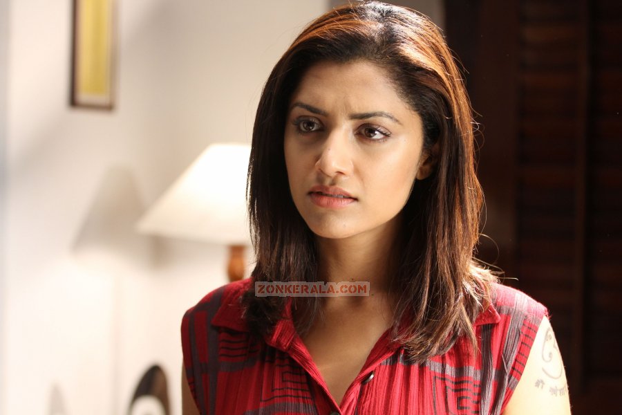 Mamta Mohandas 393