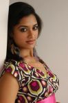 Mamta Mohandas Photos 1090