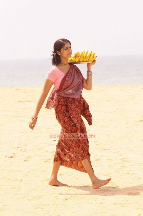 Mamta Mohandas Stills 6740