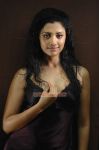 Mamta Mohandas Stills 7817