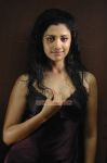 Mamta Mohandas Stills 7817