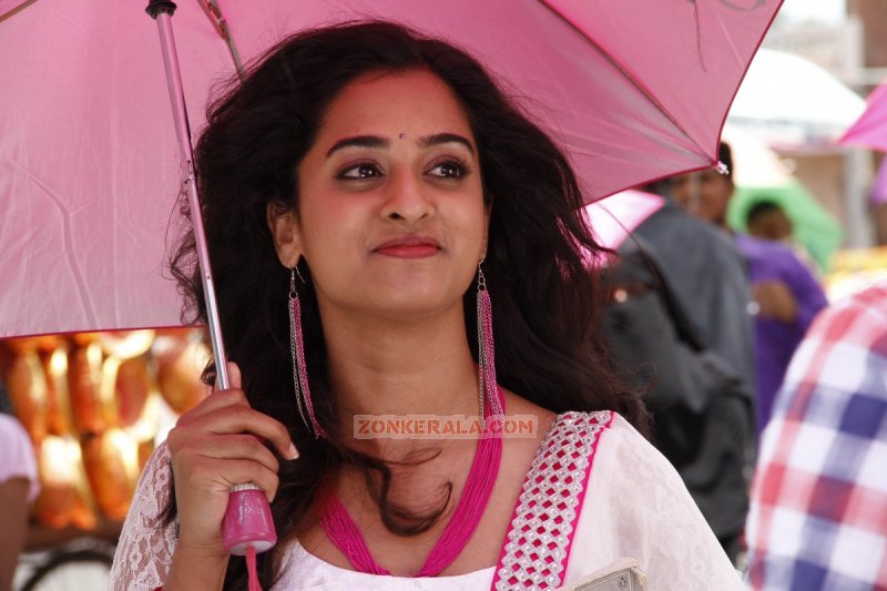 Nanditha Malayalam Actress 2014 Picture 9249