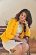 Nanditha Malayalam Heroine New Photos 2456