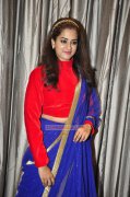 Recent Pic Nanditha Malayalam Movie Actress 8236