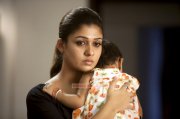 Latest Still Indian Actress Nayantara 3434