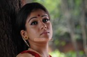 Actress Nayantara Picture 321