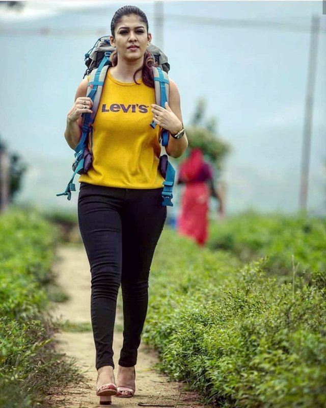 Latest Galleries Movie Actress Nayanthara 3954