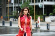 Nayanthara Cinema Actress 2016 Pics 1172