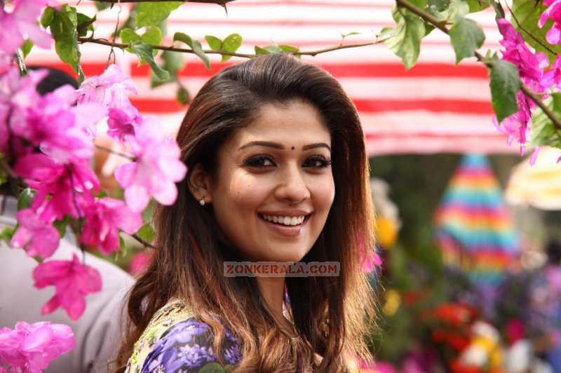 Nayanthara Malayalam Actress Latest Pic 2771