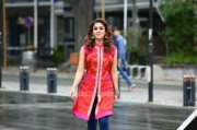 Recent Gallery Nayanthara South Actress 989